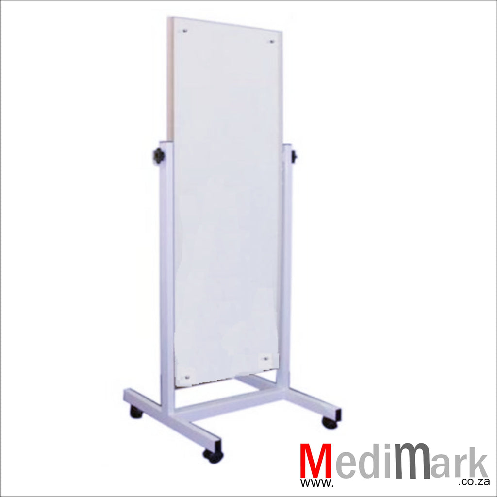 MIRROR THERAPY POSTURE