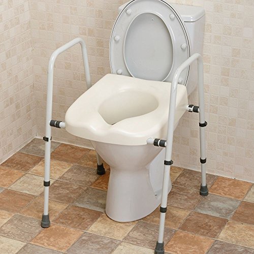 Toilet seat raiser