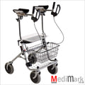 WALKER ARTHRITIS TYPE CRYSTAL